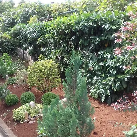 Apartmán Lili Poreč