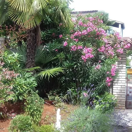 Lili Lägenhet Poreč