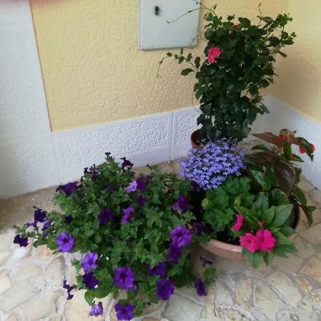 Lili Apartment Porec
