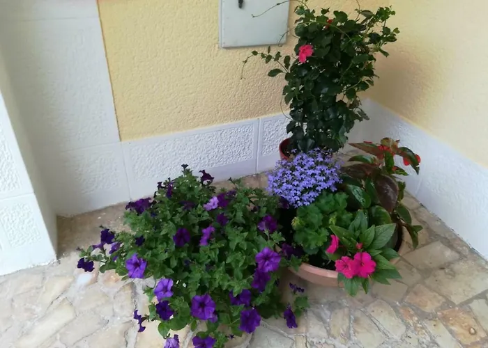 Lili アパート ポレッチ