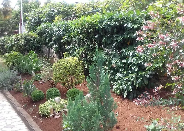 アパート Lili ポレッチ